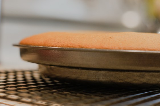 pumpkin cake rose too much