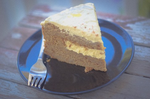 pumpkin cake with hipster filter