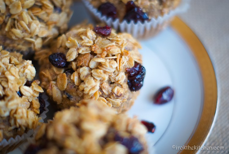 cranberry oat muffins