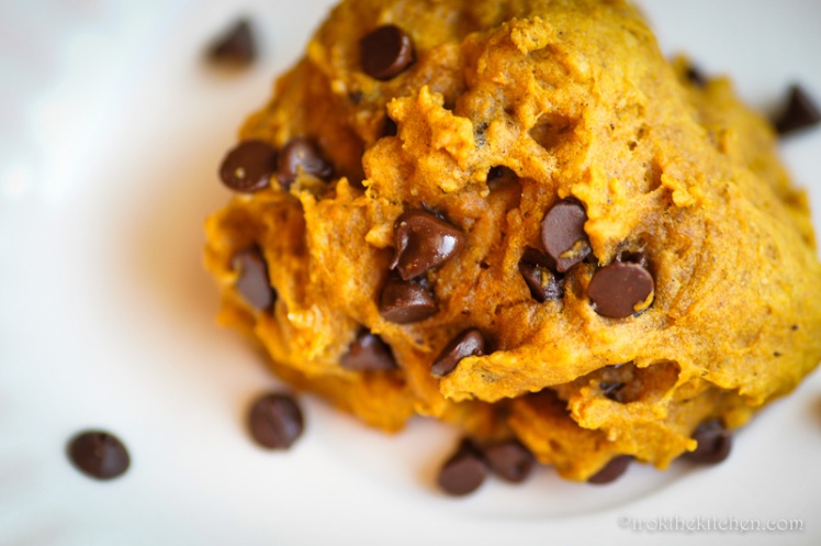 Pumpkin Chocolate Chip Cookies-22