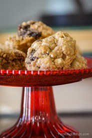 Oatmeal Raisin Cookies-18