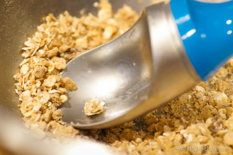 Oatmeal Raisin Cookies-5