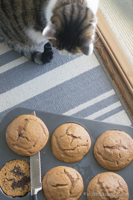 pumpkin-chocolate-bundt-cakes-11
